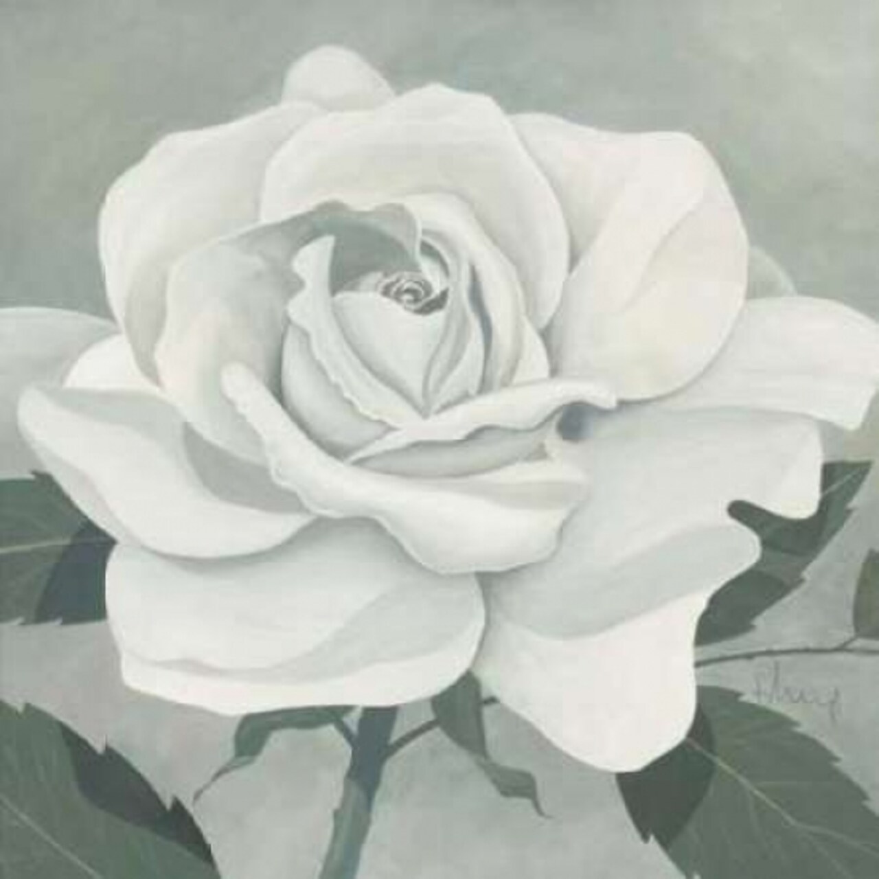 Rose One Poster Print by Franz Heigl - Item # VARPDXGA0116180